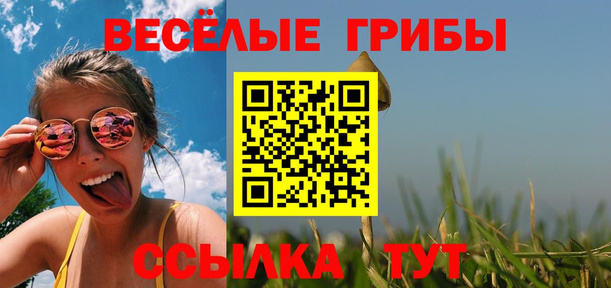 Арсеньев  Псилоцибиновые грибы прущие грибы  наркота  Вход с VPN 